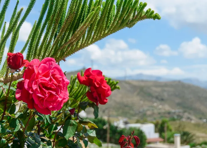 Of Roses In Naxos - Private With Pool 빌라 Naxos City