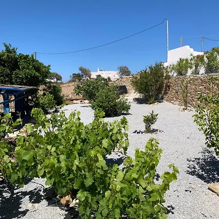 Of Roses In Naxos - Private With Pool * Naxos City