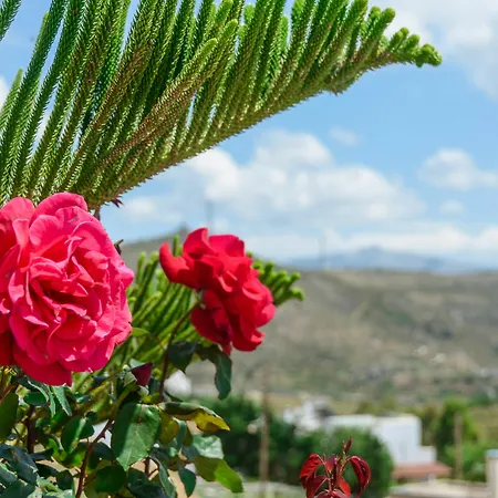 Villa Of Roses In Naxos - Private With Pool Naxos City